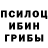 Галлюциногенные грибы мицелий Hujik Musaev