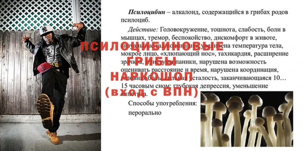 амф Баксан